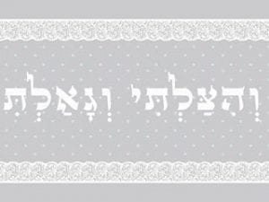 ראנר דגם "פסח אפור"