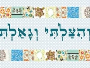ראנר דגם "פסח תכלת"