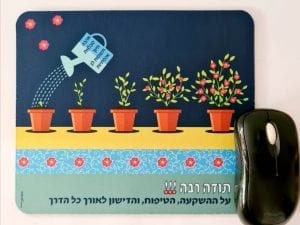 פד לעכבר. עציץ