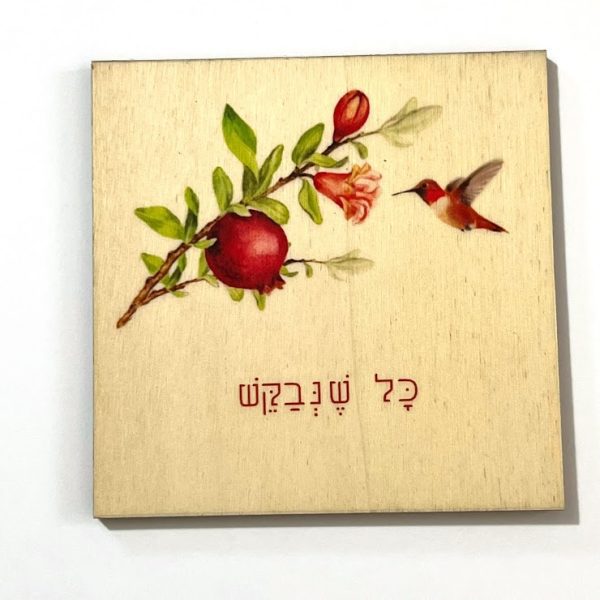 מגנט כל שנבקש