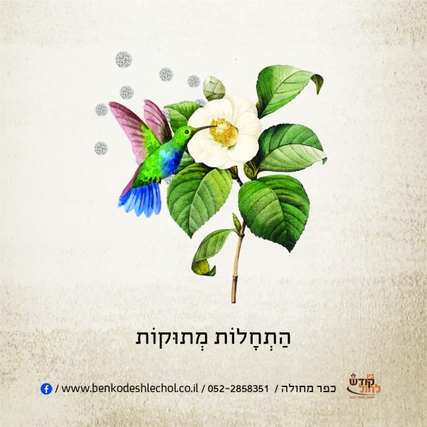 כרטיס ברכה צופית